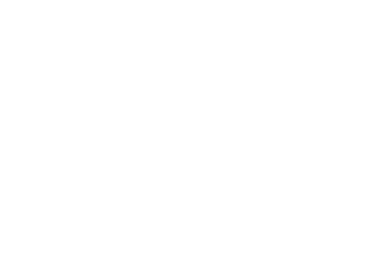 Beier & Partner