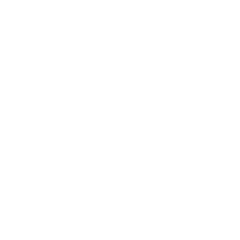 SVB Hirsch