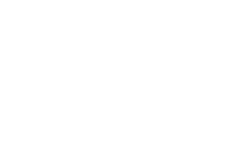 Invictus Immobilien