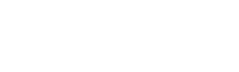 Manz Immobilien